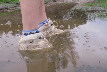 puddle test